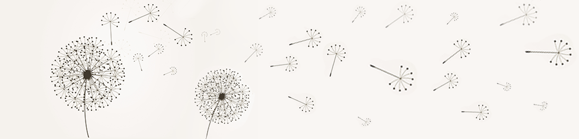 Pusteblume 2